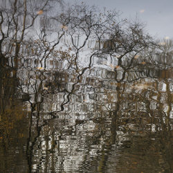 autumn reflections