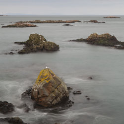 boddam coast