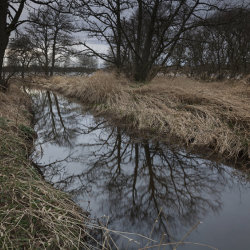 burn by loch of skene