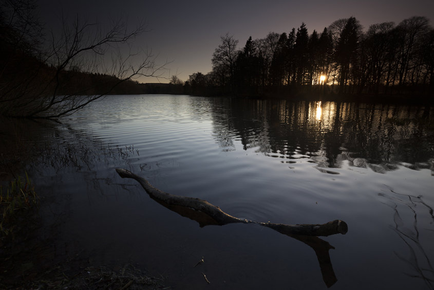 driftwood, loch of fyvie