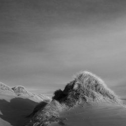 dune, forvie sands