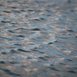 evening reflections