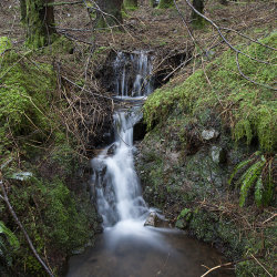 glen brittle forest