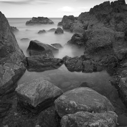 low tide, greyhope bay
