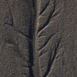 pattern, craighead beach