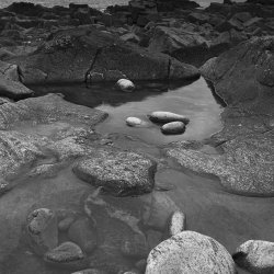 rockpool