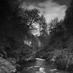 rocks of solitude