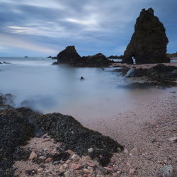 sunrise, whinnyfold