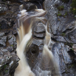water of lee