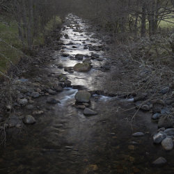 white water, glen doll