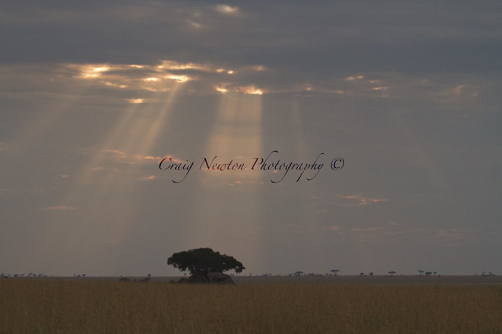 Serengeti NP, Tanzania