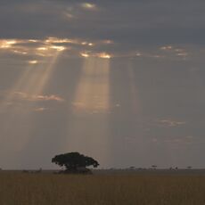 Land & Sky