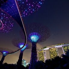 Marina Bay Sands from The Gardens by the Bay, Singapore