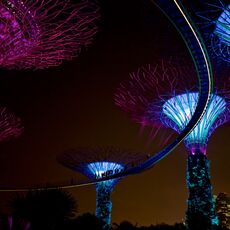 Gardens by the Bay, Singapore