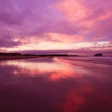 Bass Rock, Scotland