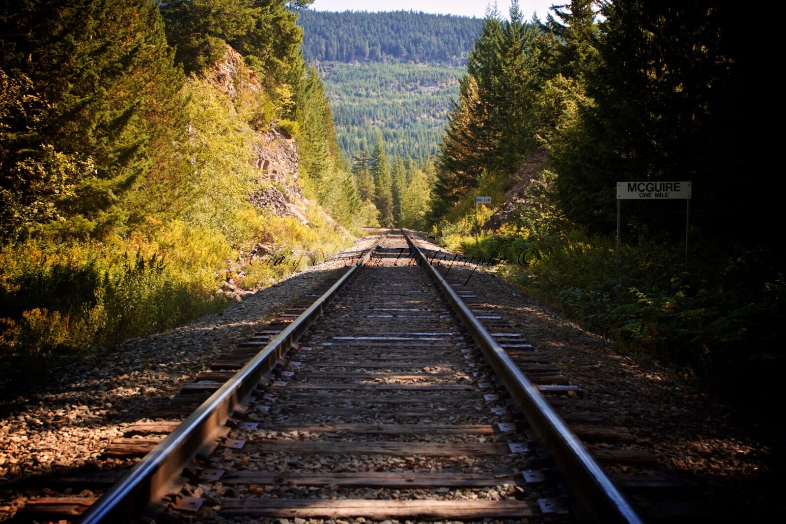 McGuire, Canada