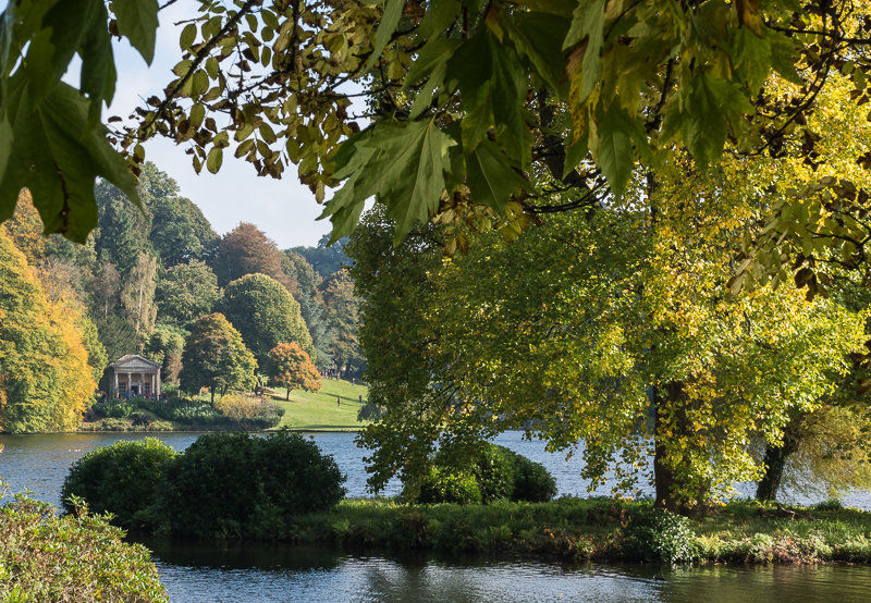 Stourhead Trees