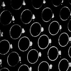 Bottles, bots of Bottles - the Caves, Avenue de Champagne