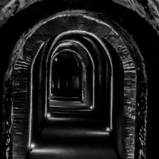 Champagne Caves