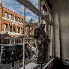 Colied Corset with blue sky