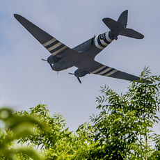 Dakota with invasion stripes