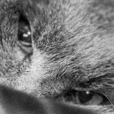 I can see you - Sophie trying to hide