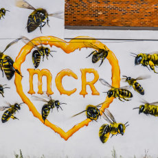 Manchester Bee Mural