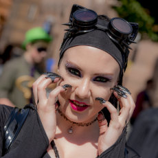 Meow !
