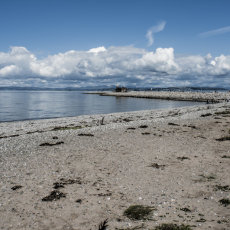 Morecambe bay