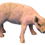 cherrill edgington little pig