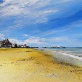 david green cromer