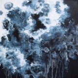 hilary carter acid rain