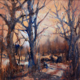 Hilary Carter