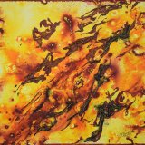 hilary carter tidal flow