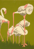 Jan Motley-Resting Flamingo
