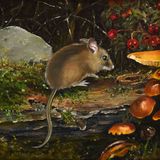 Autumn Feast, Janet Harrison