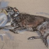 janice gordon lurcher