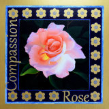Rose, Compassion, Julia Richardson