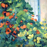 Julie Noad