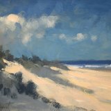 miles fairhurst dune study