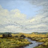 richard motley over norfolk marshland