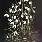 Snowdrops, Eleanor Alison