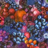 wendy ferrey blueberries