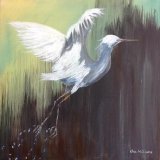 10403321 1542597339346821 3668988156665921906 n