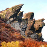 Roaches - Peak District