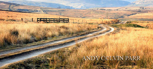 Moorland Track