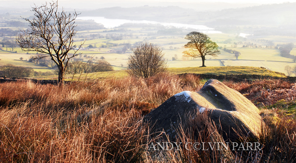 View Over Tittesworth Water
