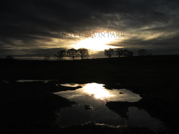 Pool of Light