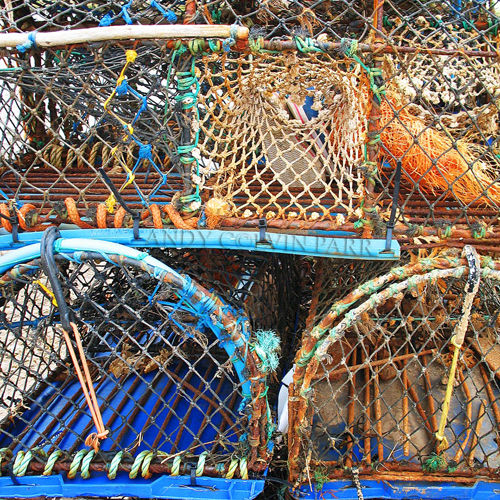 Bright Coloured Crab Pots