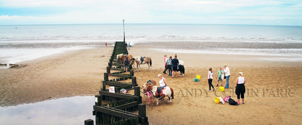 Pony Rides
